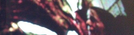 PHzoN7IgkhdWCG_1_m